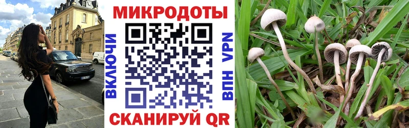 гидра как зайти Чадан Псилоцибиновые грибы мухоморы сколько стоит