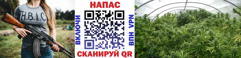 Шишки марихуана VHQ  наркота  Чадан 